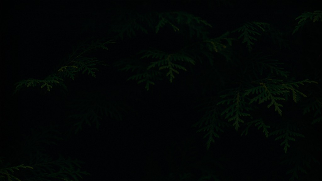 Background Texture - Dark Aesthetic